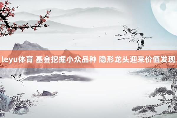 leyu体育 基金挖掘小众品种 隐形龙头迎来价值发现
