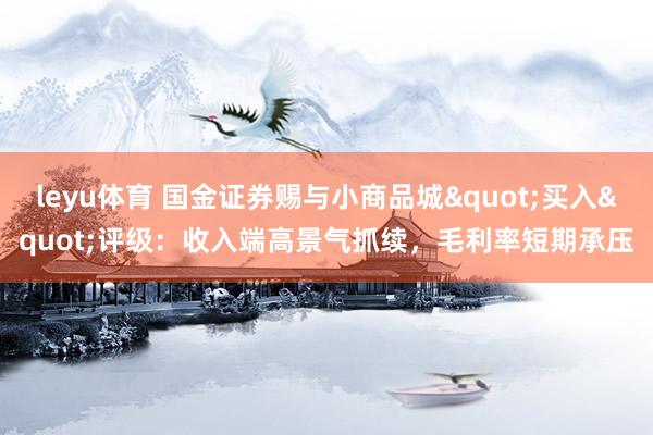 leyu体育 国金证券赐与小商品城"买入"评级：收入端高景气抓续，毛利率短期承压