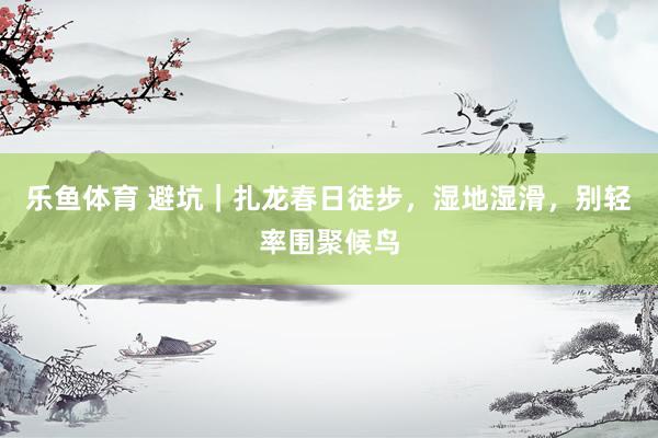 乐鱼体育 避坑｜扎龙春日徒步，湿地湿滑，别轻率围聚候鸟
