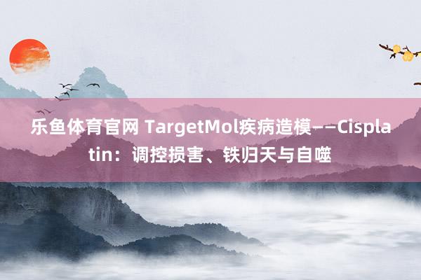 乐鱼体育官网 TargetMol疾病造模——Cisplatin：调控损害、铁归天与自噬