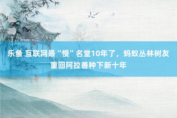 乐鱼 互联网最“慢”名堂10年了，蚂蚁丛林树友重回阿拉善种下新十年