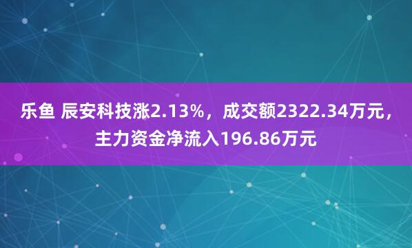 乐鱼 辰安科技涨2.13%，成交额2322.34万元，主力资金净流入196.86万元