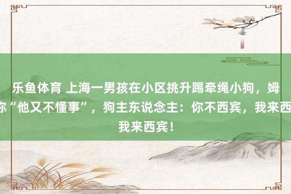 乐鱼体育 上海一男孩在小区挑升踢牵绳小狗，姆妈称“他又不懂事”，狗主东说念主：你不西宾，我来西宾！