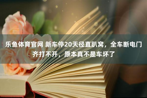 乐鱼体育官网 新车停20天径直趴窝，全车断电门齐打不开，原本真不是车坏了