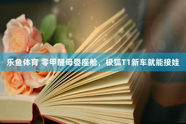 乐鱼体育 零甲醛母婴座舱，极狐T1新车就能接娃