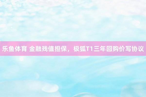 乐鱼体育 金融残值担保，极狐T1三年回购价写协议