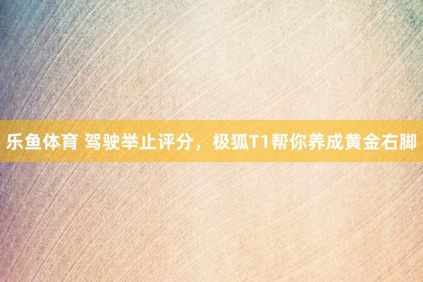 乐鱼体育 驾驶举止评分，极狐T1帮你养成黄金右脚
