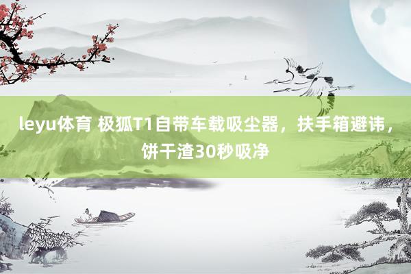 leyu体育 极狐T1自带车载吸尘器，扶手箱避讳，饼干渣30秒吸净