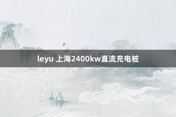 leyu 上海2400kw直流充电桩