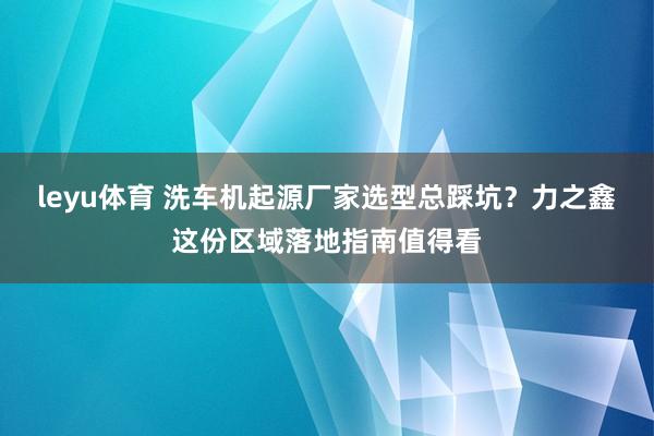 leyu体育 洗车机起源厂家选型总踩坑？力之鑫这份区域落地指南值得看