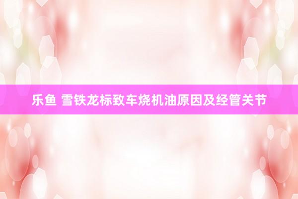 乐鱼 雪铁龙标致车烧机油原因及经管关节