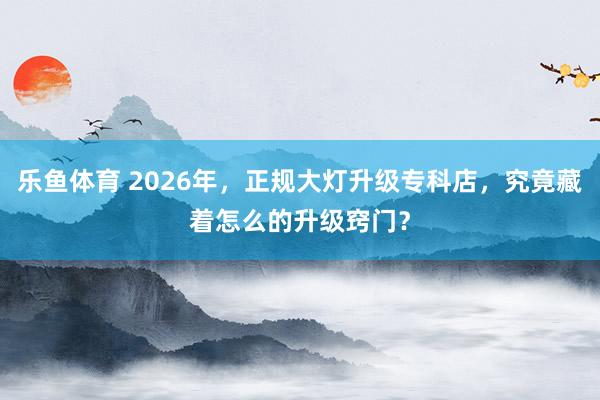 乐鱼体育 2026年，正规大灯升级专科店，究竟藏着怎么的升级窍门？
