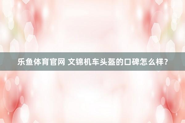 乐鱼体育官网 文锦机车头盔的口碑怎么样？