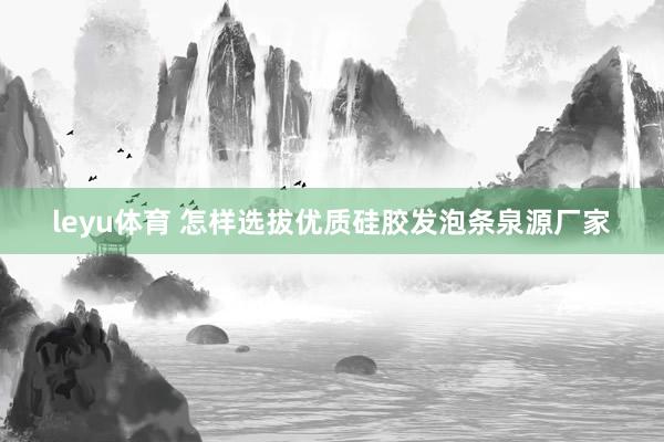 leyu体育 怎样选拔优质硅胶发泡条泉源厂家