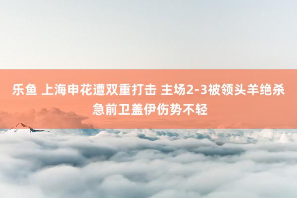 乐鱼 上海申花遭双重打击 主场2-3被领头羊绝杀 急前卫盖伊伤势不轻