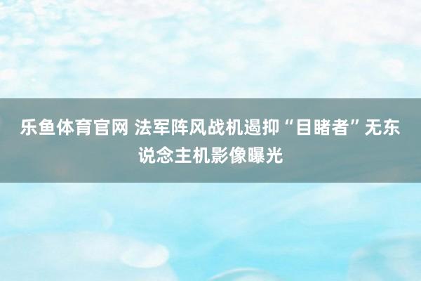 乐鱼体育官网 法军阵风战机遏抑“目睹者”无东说念主机影像曝光